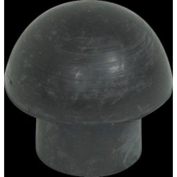 Talon champignon